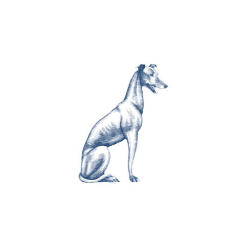 Things To Do https://oceanfrontcottage.icnd-cdn.com/images/thingstodo/Untitled design (1).png